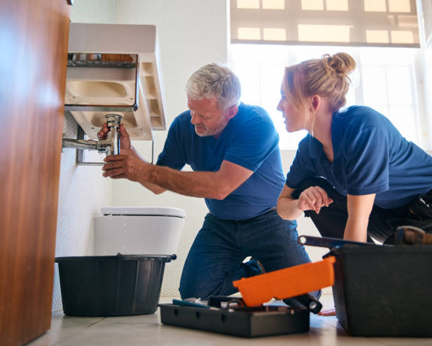 Best Local Plumber Services  in Cambridge, MN